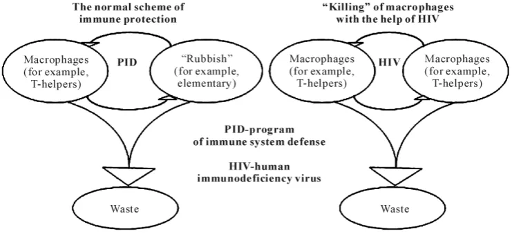 Figure 1. Diagrams of the working mechanisms of PID and HIV programs.  (http://commons.wikimedia.org/wiki/File:1989_May_22.jpg) 