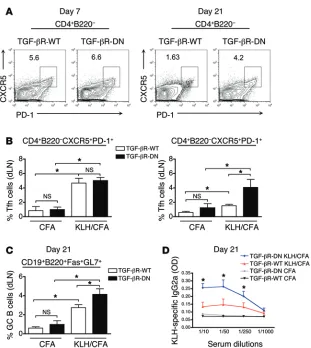 Figure 2. Longer Tfh accumulation in immunized mice with attenuated TGF- signaling in T cells