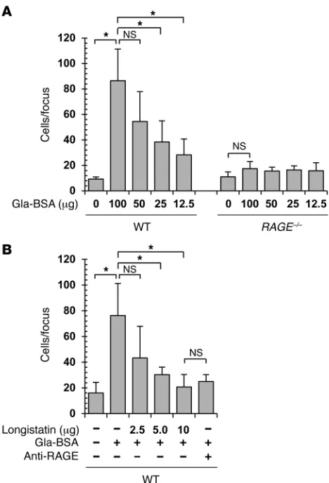 Figure 6. Effect of rlongistatin on RAGE-mediated cell migration in vitro.of Chemotaxicell in RPMI-1640 medium