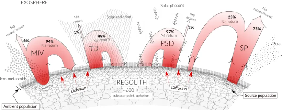 Figure 5. Scheme illustrating the different released ﬂuxes of Na due to the different release mechanisms from the mineral compound (thesource population) and from surface (the ambient population)