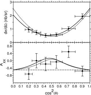 Figure 7. Angular distributions of the unpolarized cross sectionand the analyzing power Axx (from [41])