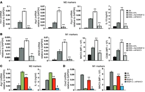 Figure 8. The VEGF-C/VEGFR3 pathway regulates in vivo and in vitro MΦ plasticity and activation