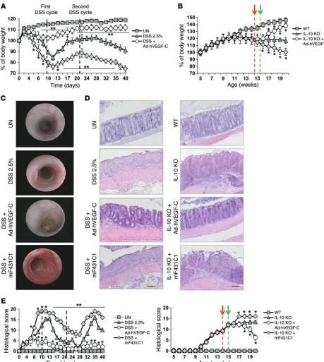 Figure 2. Systemic delivery of human VEGF-C significantly improves colitis both clinically and histologically