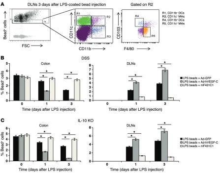 Figure 6. Systemic delivery of Ad-hVEGF-C accelerates bacterial antigen clearance from the inflamed colon to DLNs