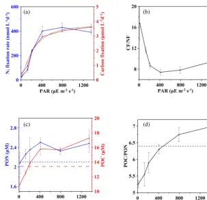 Figure 4. Effect of light on the carbon and nitrogen budget at station S0320 with a Trichodesmium thiebautii bloom