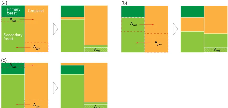 Figure 2. An illustration of different gross forest area changes with the same net area change.area changes (secondary to secondary), thus high (a) Net forest gain with small gross secondaryforest area changes (secondary to secondary), thus low γ AgrossAne