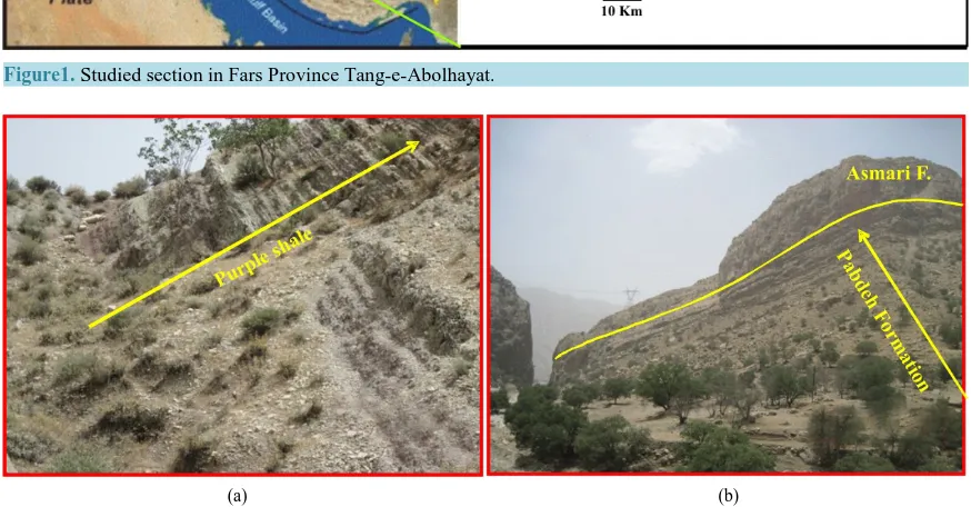 Figure 2. (a) Purple shale in the base; (b) Top of Pabdeh formation in Tang-e-Abolhayat