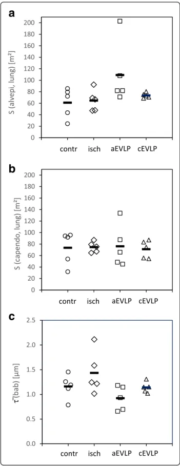 Fig. 6 Stereological estimation of alveolar epithelial surface (a), endothelial surface (b) and blood-air barrier thickness (bab) (c).