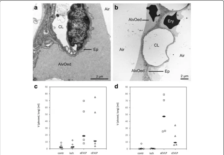 Table 1 Oxygenation index and static compliance in vivo and during EVLP