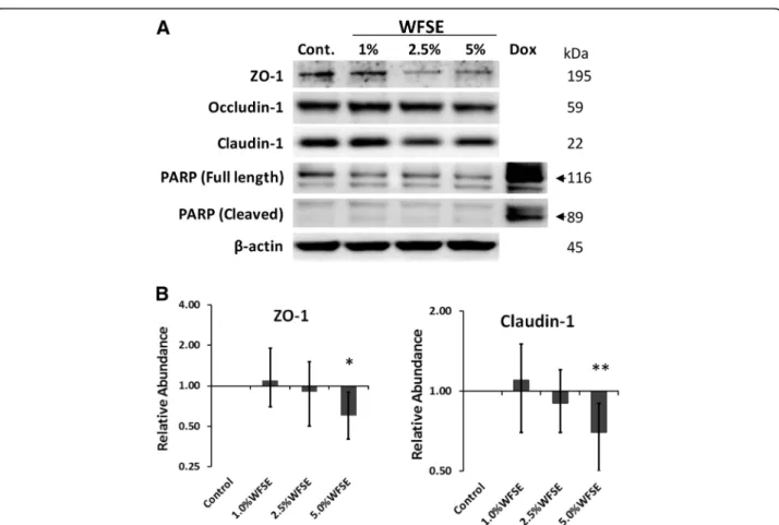 Fig. 5). As IL-6 also promotes epithelial repair, this finding is consistent with a pro-inflammatory repair response brought