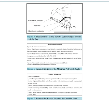 Figure 7. Score definitions of the modified Rankin Scale.        