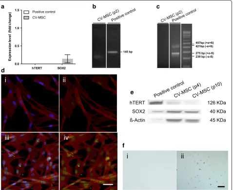 Fig. 4 asubjecting to soft agar assay. A tumorigenic cell line, LN319, included as positive control, developing tumoroids identifiable after 4 weeks (ii)
