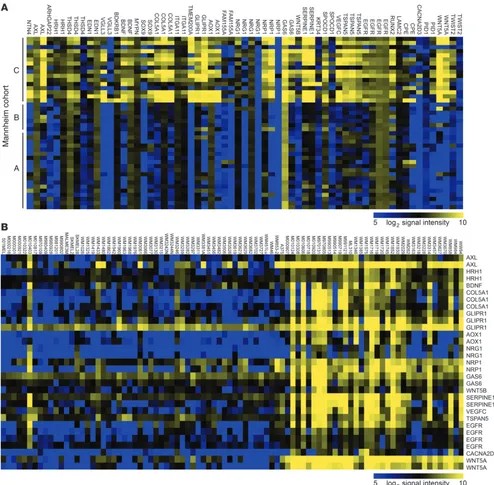 Figure 7WNT5A is upregulated as part of a gene signature associated with clinical phenotypes in melanoma