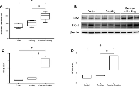 Figure 2 Nrf2 and HO-1 expression in the lung homogenate.Notes: (A) Nrf2 mRNA expression in mice from the exercise + smoking group was signiﬁcantly increased compared to expression in mice from the control and smokinggroups