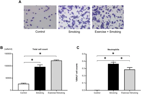 Figure 3 Total cell count and proportion of neutrophils in the BALF.mice from the exercise + smoking group compared to mice in the smoking group; however, the number of total cells was not attenuated