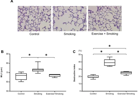 Figure 4 MLI and destructive index for the mice from each group.Abbreviation:mice from the smoking group than in mice from the control group