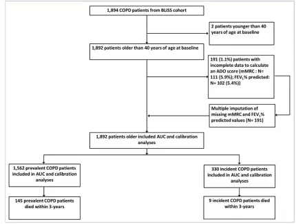 Figure 1 Patient (i.e. case) ﬂow chart from whole cohort to ADO validation sample.