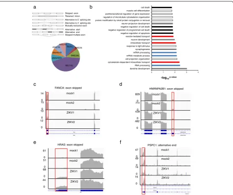 Fig. 3 ZIKV infection induced alternative splicing of the cellular transcriptome.infction;genes, the x-axis is thesplicing site (AS3), alternative start (altstart), alternative end (altend), mutually exclusive and retained intron classes [16]; a