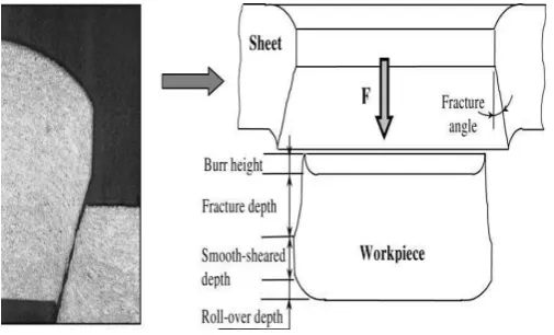 Fig.: Different stage of the blanking process 
