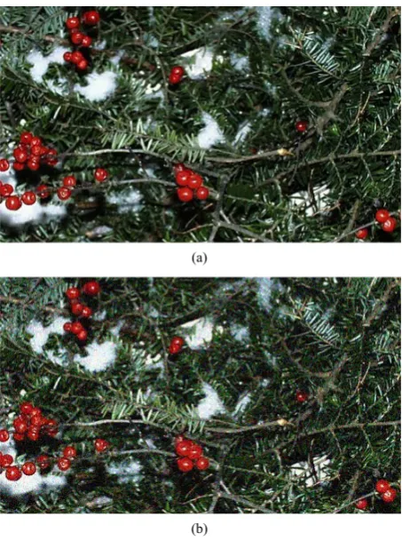 Figure 4. RGB image case (a) source greens image and (b) the noisy greens image added with Gaussian noise with variance 0.01