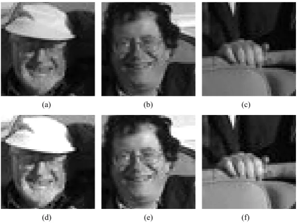 Figure 5. Six template from green image (a)-(c) three template sample of size 100 × 100, (d) bright ver-sion of (a) by 22%, (e) bright version of (b) by 30%, and (f) bright version of (d) by 24%