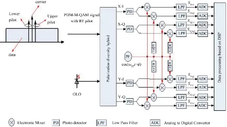 Figure 1. Architecture of Joint phase estimate. OLO: optical local oscillator; RF: radio frequence (electronic local oscillator)