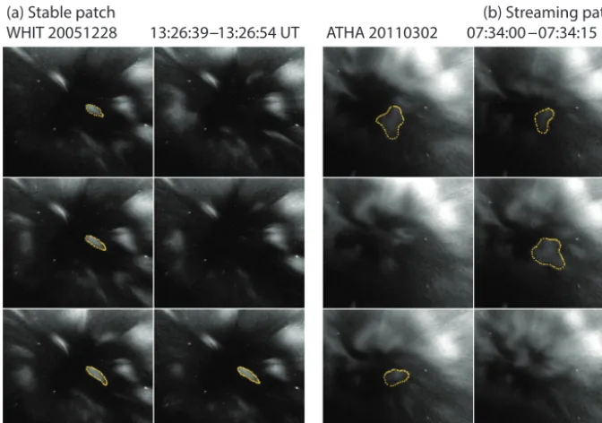 Figure 1. (a) An example of a stable pulsating auroral patch as described by Royrvik and Davis (1977)