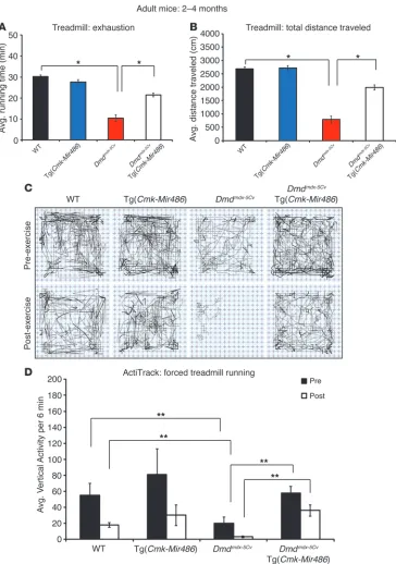 Figure 3miR-486 overexpression in  Dmdmdx-5Cv mice improves dys-trophic muscle physiology