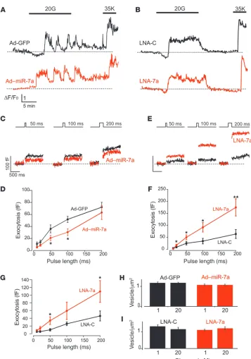 Figure 2miR-7a controls exocytosis in pri-