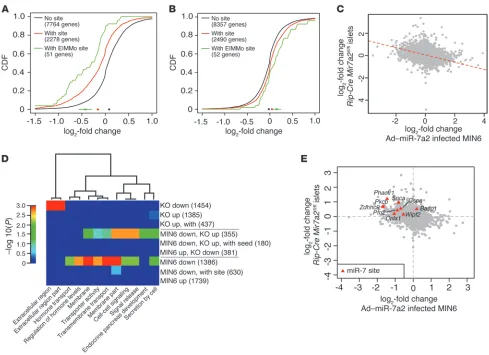 Figure 3miR-7 target identification in pancreatic change in (Pdown- and upregulated from Ad–miR-7a2–infected MIN6 cells and β cells