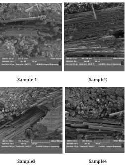 Figure 18: SEM images of different composite samples 