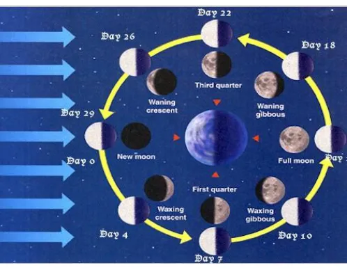 Figure 3.6. Moon’s Phases 