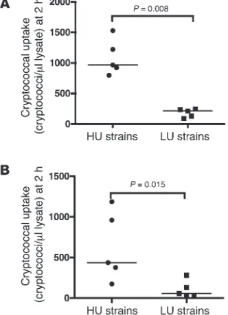 Figure 3Cryptococcal uptake by J774 macrophages correlates with uptake by 