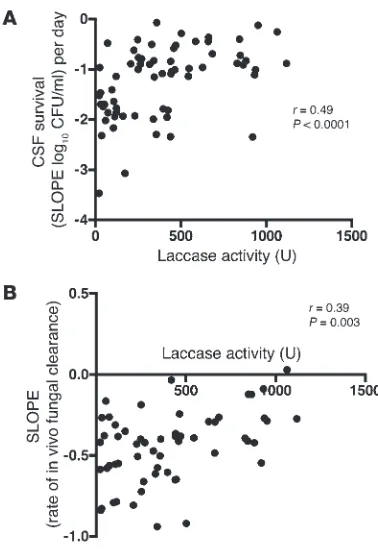 Figure 7Association of laccase activity with ex vivo cryptococcal survival in 