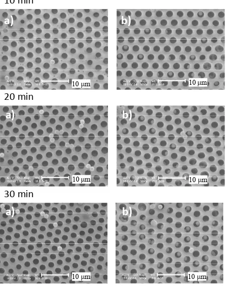 Figure 5. SEM images of microporous films after immersion in a slurry of PSt a) and PSt-DM b)