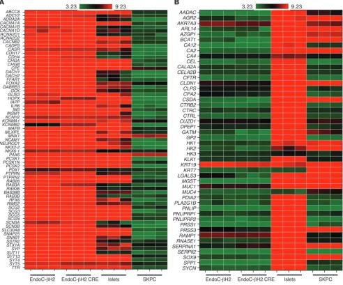 Figure 4Heat map visualization of gene expression profiling in excised and unexcised EndoC-(βH2 compared with human islets and exocrine cell line