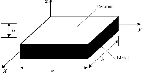 Figure 1. Geometry of rectangular plate 