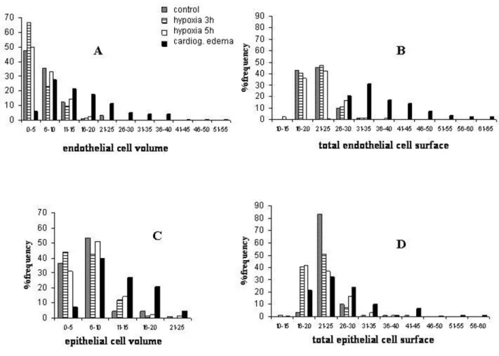 Fig. 6A shows the frequency distribution of the volume of the endothelial cell compartment in the various groups.