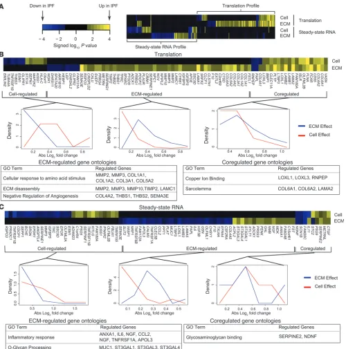 Figure 4Converging and independent modulation of ECM gene translation is dependent upon ECM and cell origins