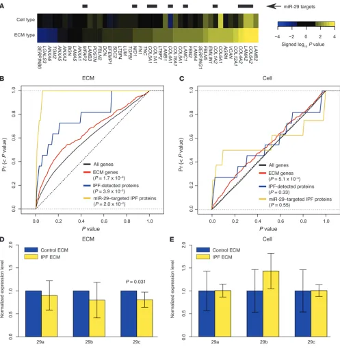 Figure 5A positive feedback loop between diseased ECM and the fibroblast involves modulation of miR-29 expression