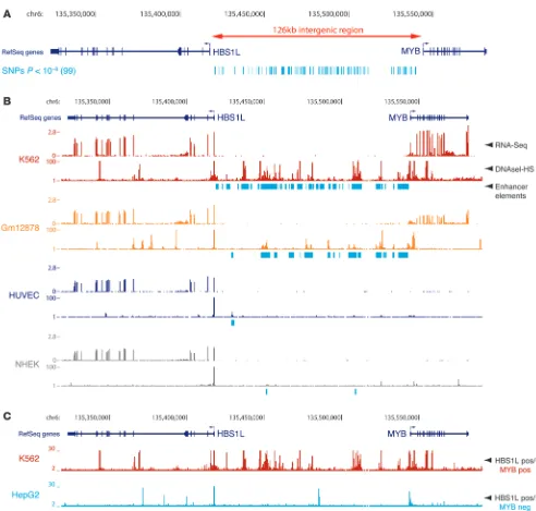 Figure 1The erythroid/hematopoietic-specific regulatory signature of the HBS1L-MYB intergenic region associated with HbF levels and other human erythroid traits