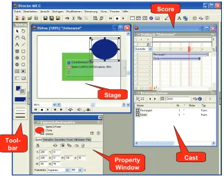 Figure 2.7: A screenshot of Adobe Director.