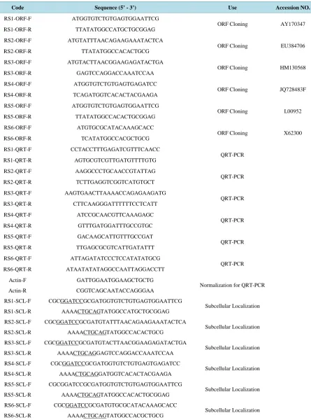 Table 1. Primers used in this study. 