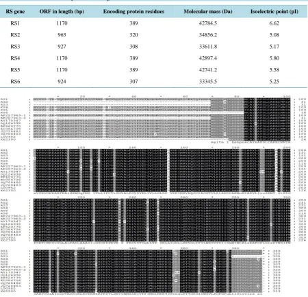 Table 2. Bioinformatics analysis of six RS genes.