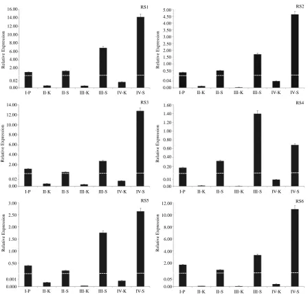 Figure 5. Expression pattern analysis of six RS genes in pods at different development stage by QRT-PCR