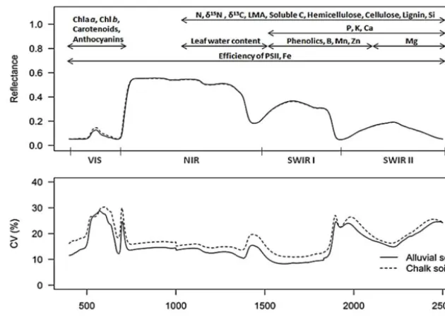 Figure 3. Spectral reﬂectance and percentage coefﬁcient of variation (CV) of reﬂectance of six generalists species for alluvial and chalksoils