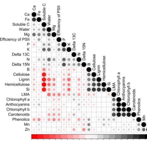 Figure 5. Partitioning of variance of foliar traits between species,soil, species–soil interaction and residual components for six gen-eralist species found on both chalk and alluvial soils from predicteddata