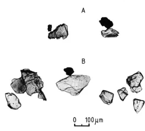 Fig. 1: Clinopyroxenes from grande Pile; (A) typical singular grains found in most of the samples,  and (B) grains from the enriched horizon at the 1092—1095 cm depth
