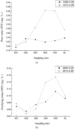 Figure 5. DTP concentrations of pore water (a) and overlying water (b) in Xiangxi Bay sediments