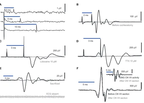 Figure 2Specificity of oABRs for ChR2-mediated activation of the auditory pathway. (